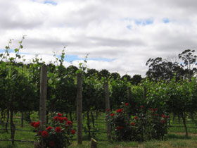  South Australia Travel