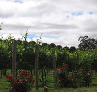 Manyara Vineyard - South Australia Travel