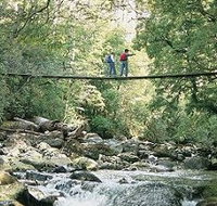 Arve Forest Drive - South Australia Travel