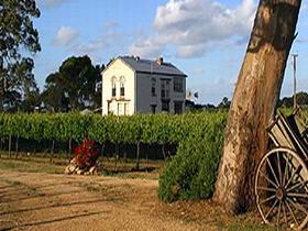 Highbank Vineyards - South Australia Travel 0