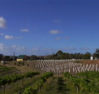 Deep Creek Wines and Alpacas - South Australia Travel