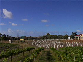 Deep Creek Wines And Alpacas - South Australia Travel 0