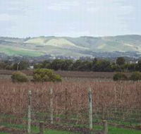 Mclaren Vale Premium Wines - South Australia Travel