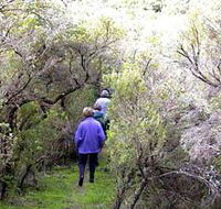 Jack And Hilda McArthur Walk - South Australia Travel