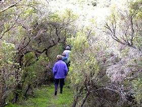 Jack And Hilda McArthur Walk - South Australia Travel 0