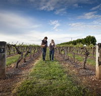 Coonawarra Wineries Walking Trail - South Australia Travel