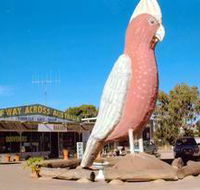 The Big Galah - South Australia Travel