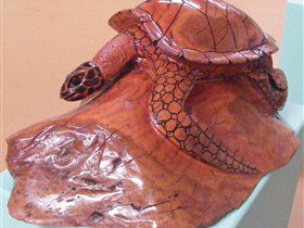 Ants Redgum Gallery - South Australia Travel 0