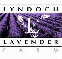 Lyndoch Lavender Farm and Cafe - South Australia Travel