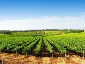  South Australia Travel