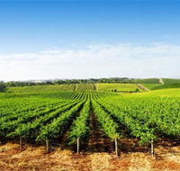 Aldinga Bay Winery - South Australia Travel