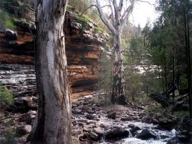 Mount Remarkable National Park - South Australia Travel 0