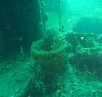 Wallaroo Scuba Club - South Australia Travel