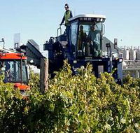Ballast Stone Estate Wines Pty Ltd - South Australia Travel