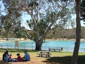 Naracoorte Nature Park And Swimming Lake - South Australia Travel 0