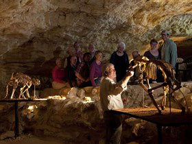 Naracoorte Caves National Park - South Australia Travel 0