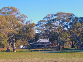 Old Wilpena Station - South Australia Travel 0