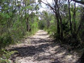Wendy's Walk - South Australia Travel 0