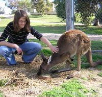 Pendleton Farmstay - South Australia Travel