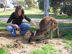 Pendleton Farmstay - South Australia Travel 0