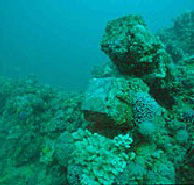 Adelaide's Underwater Heritage Trail - South Australia Travel