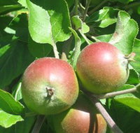 Sage Cooking School - South Australia Travel