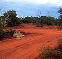 Tallaringa Conservation Park - South Australia Travel