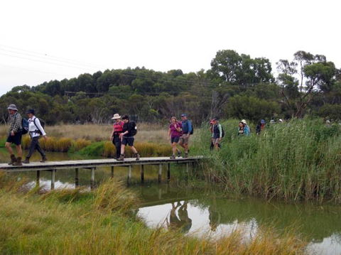 Lavender Federation Trail - South Australia Travel 1