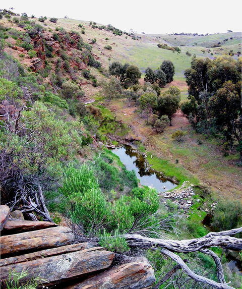 Lavender Federation Trail - South Australia Travel 3