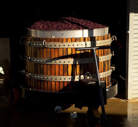 Greenock Creek Wines - South Australia Travel 1