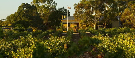 Greenock Creek Wines - South Australia Travel 2