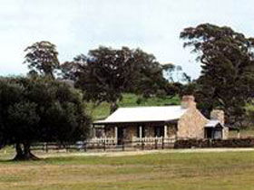 Fernfield Wines - South Australia Travel 0