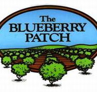 The Blueberry Patch - South Australia Travel