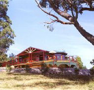 Barringwood Park Vineyard - South Australia Travel
