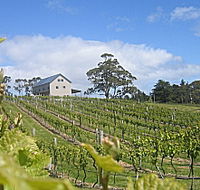 Bruny Island Premium Wines Bar and Grill - South Australia Travel