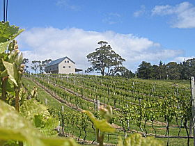 Bruny Island Premium Wines Bar And Grill - South Australia Travel 0
