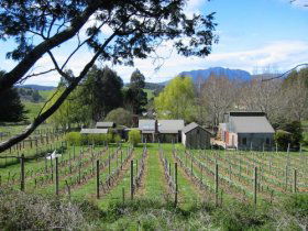 Wilmot TAS South Australia Travel