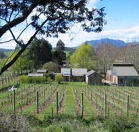 Wilmot Hills Vineyard - South Australia Travel