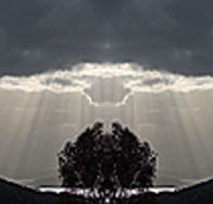 aart. Gallery of Fine Art - South Australia Travel