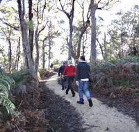 Bridport Walking Track - South Australia Travel