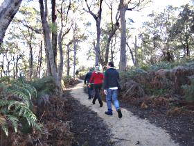 Bridport Walking Track - South Australia Travel 0