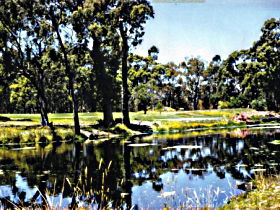 Smithton TAS South Australia Travel