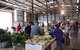 Burnie Farmers' Market - thumb 0