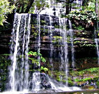 Mt Field National Park - South Australia Travel