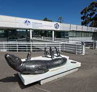 Australia's Antarctic Headquarters - South Australia Travel