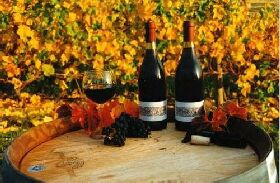 Craigow Vineyard - South Australia Travel 0