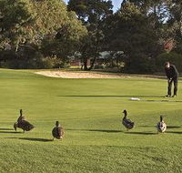 Royal Hobart Golf Club - South Australia Travel
