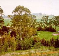 The Tasmanian Arboretum - South Australia Travel