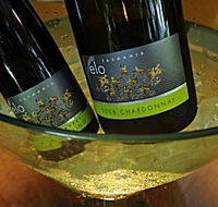 Velo Wines - South Australia Travel