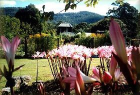 Blueberry Cottage Open Gardens - South Australia Travel 0